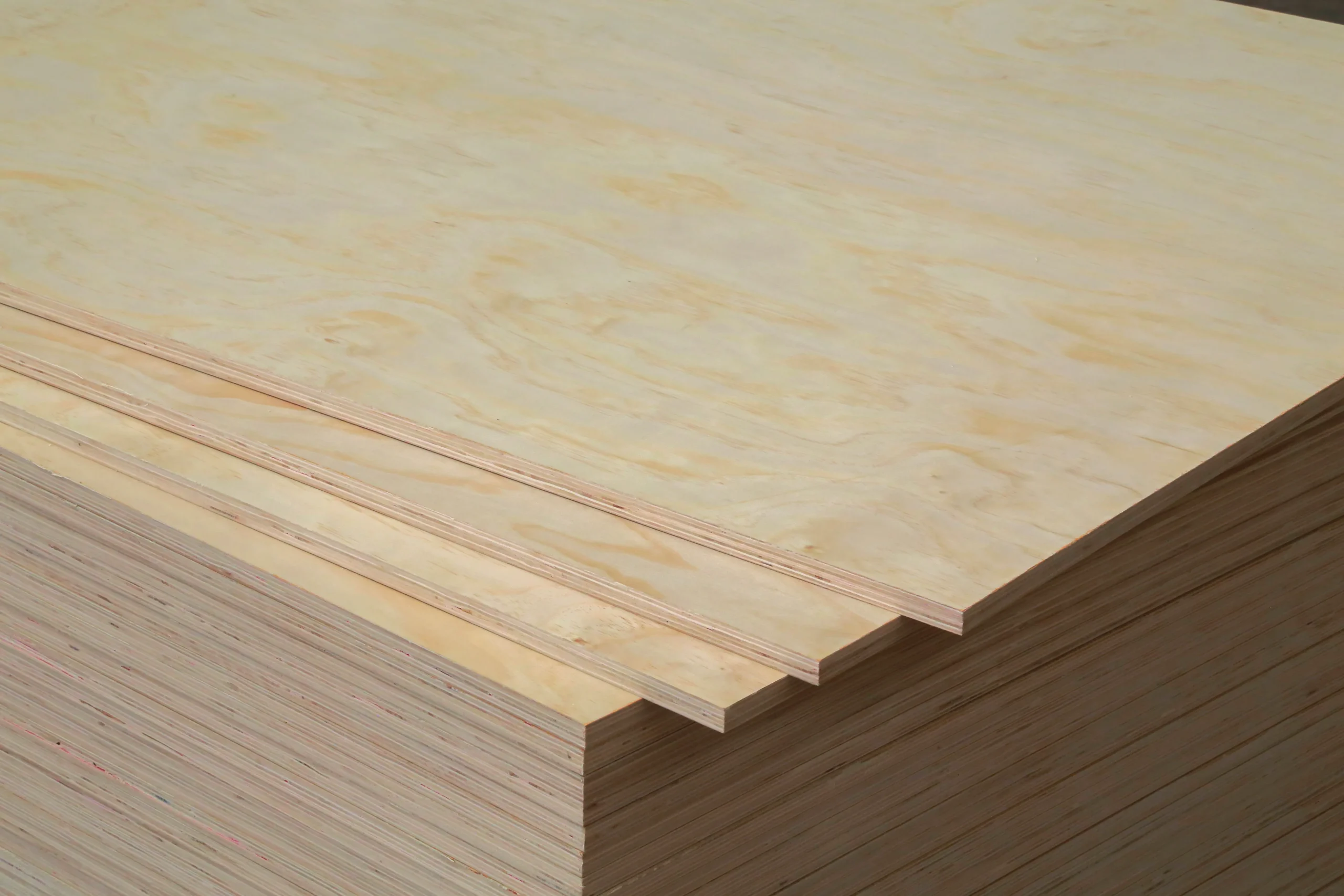 Pine Plywood