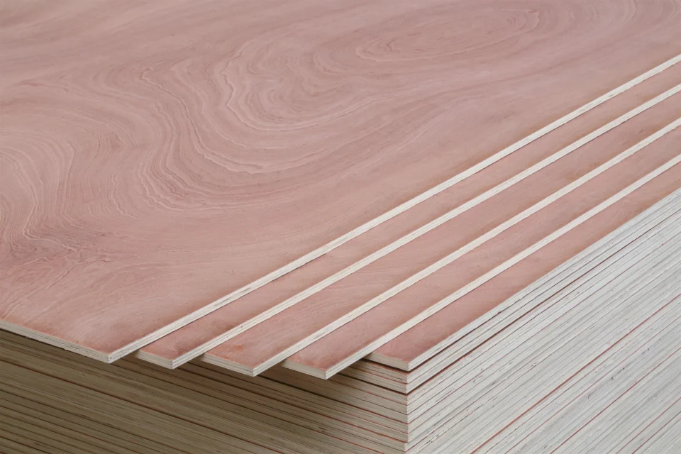 Sapeli Plywood