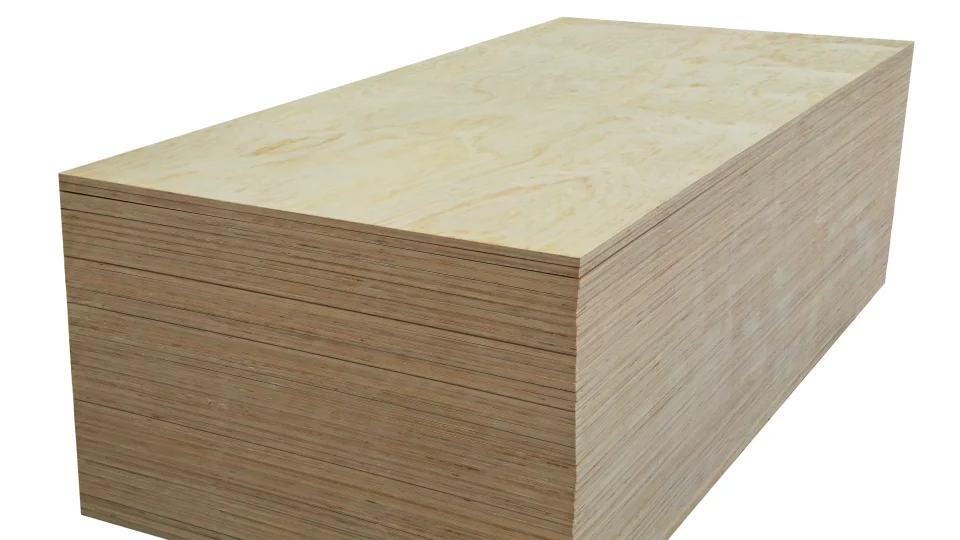 Pine Plywood