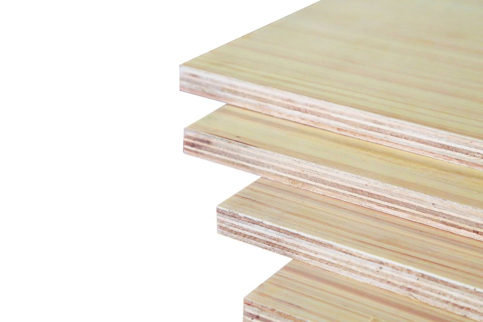 EV Plywood