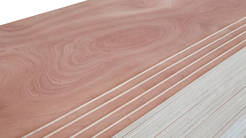 Sapeli Plywood