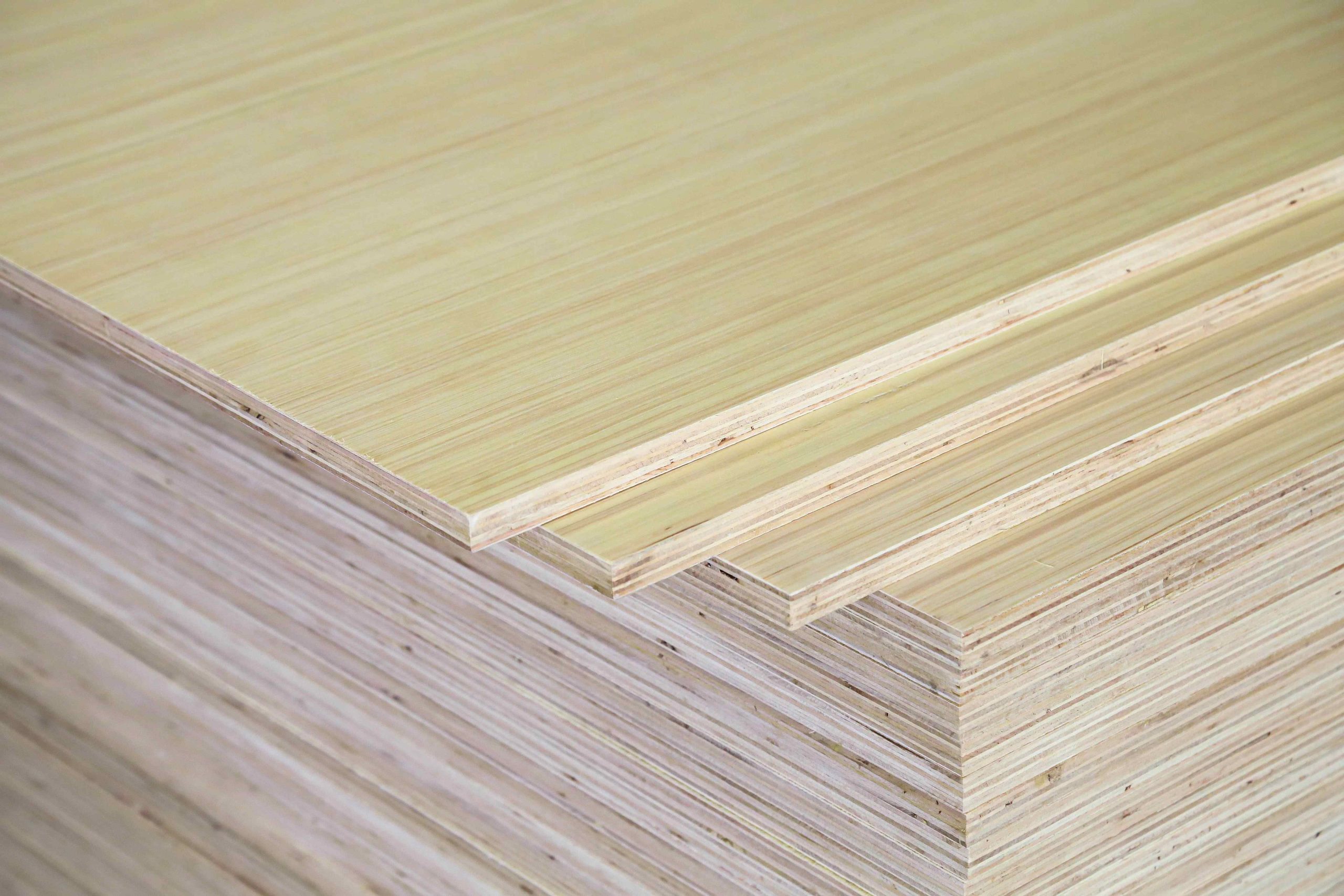 EV Plywood
