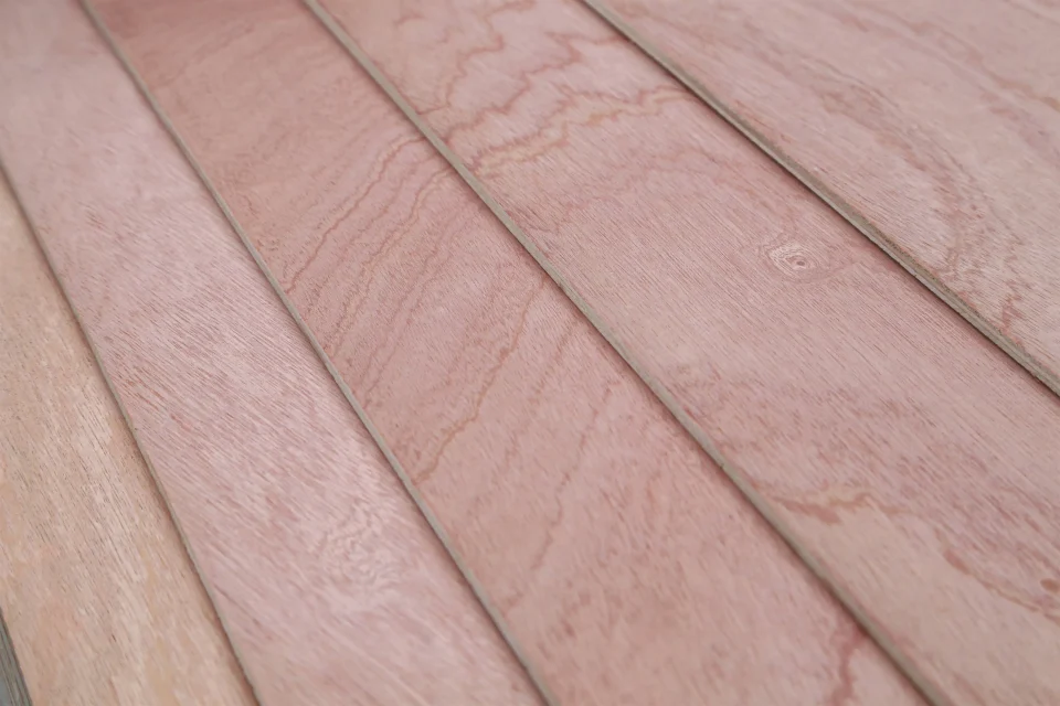 Sapeli Plywood