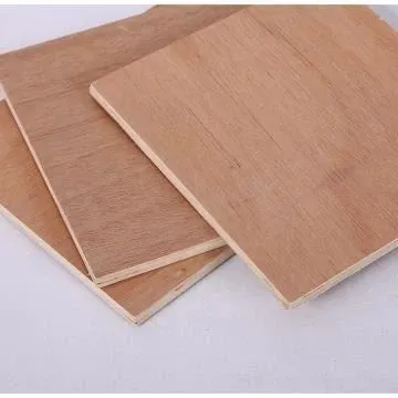 Beech-Plywood