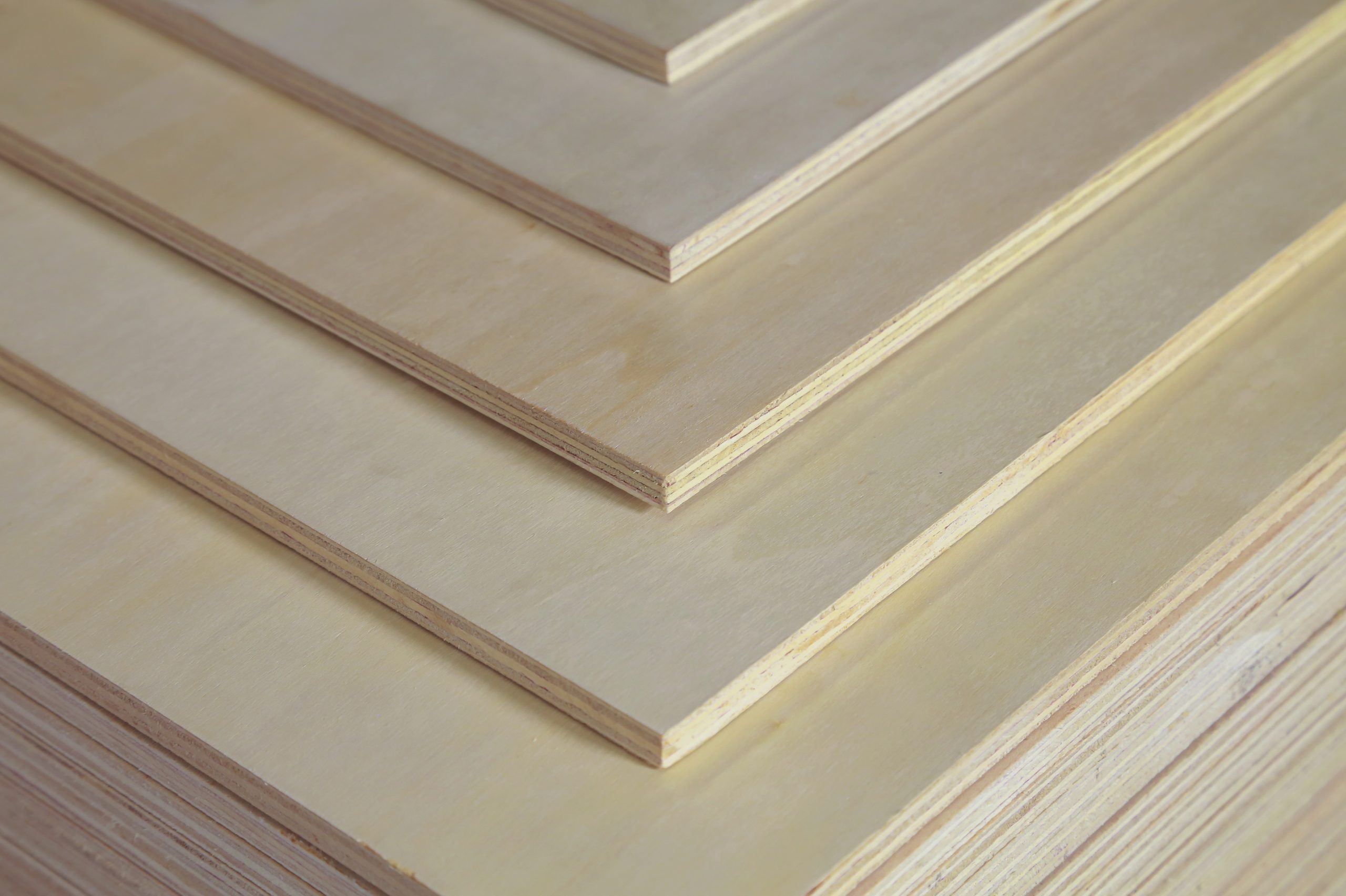 Poplar Plywood