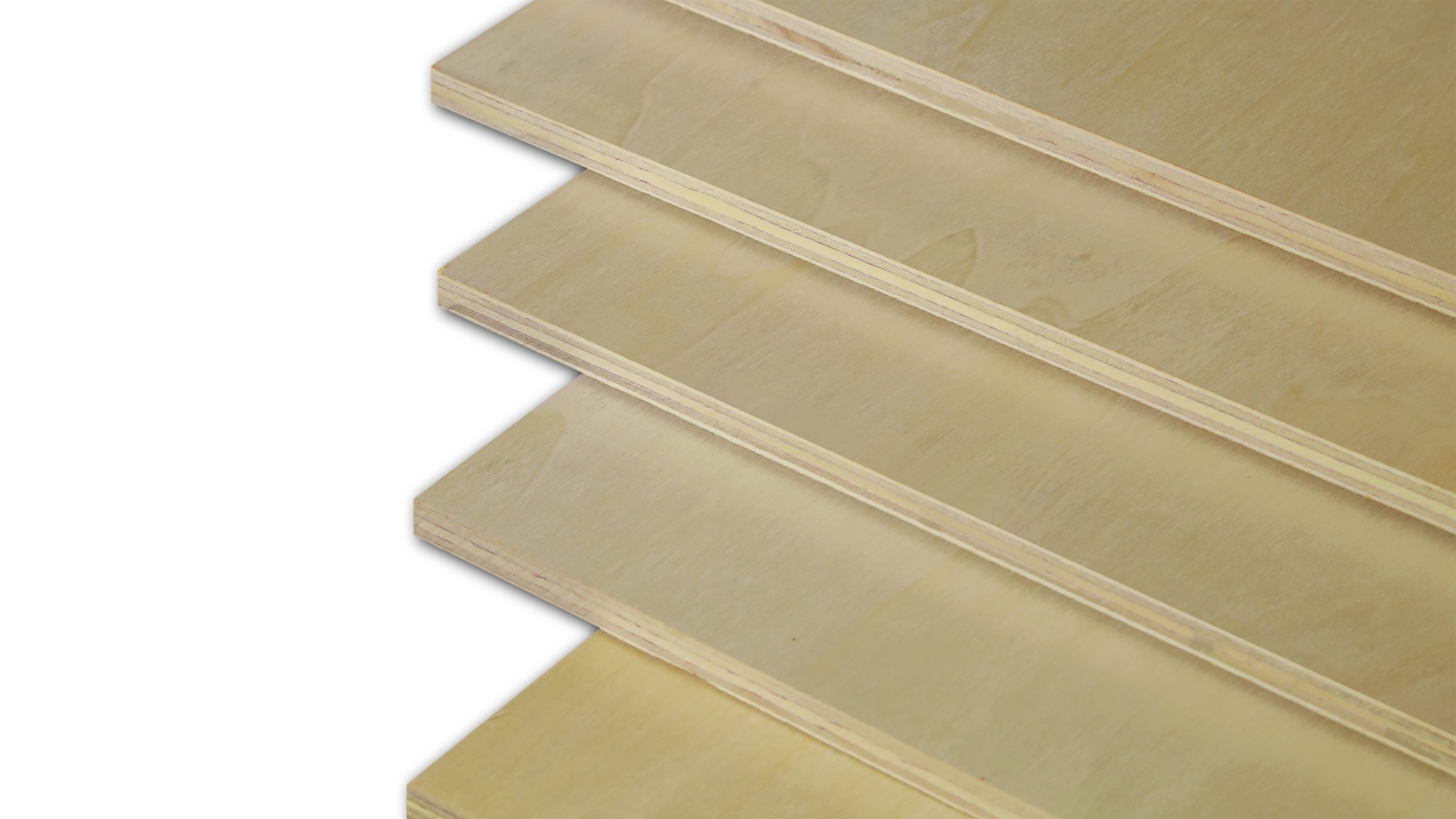 Poplar Plywood