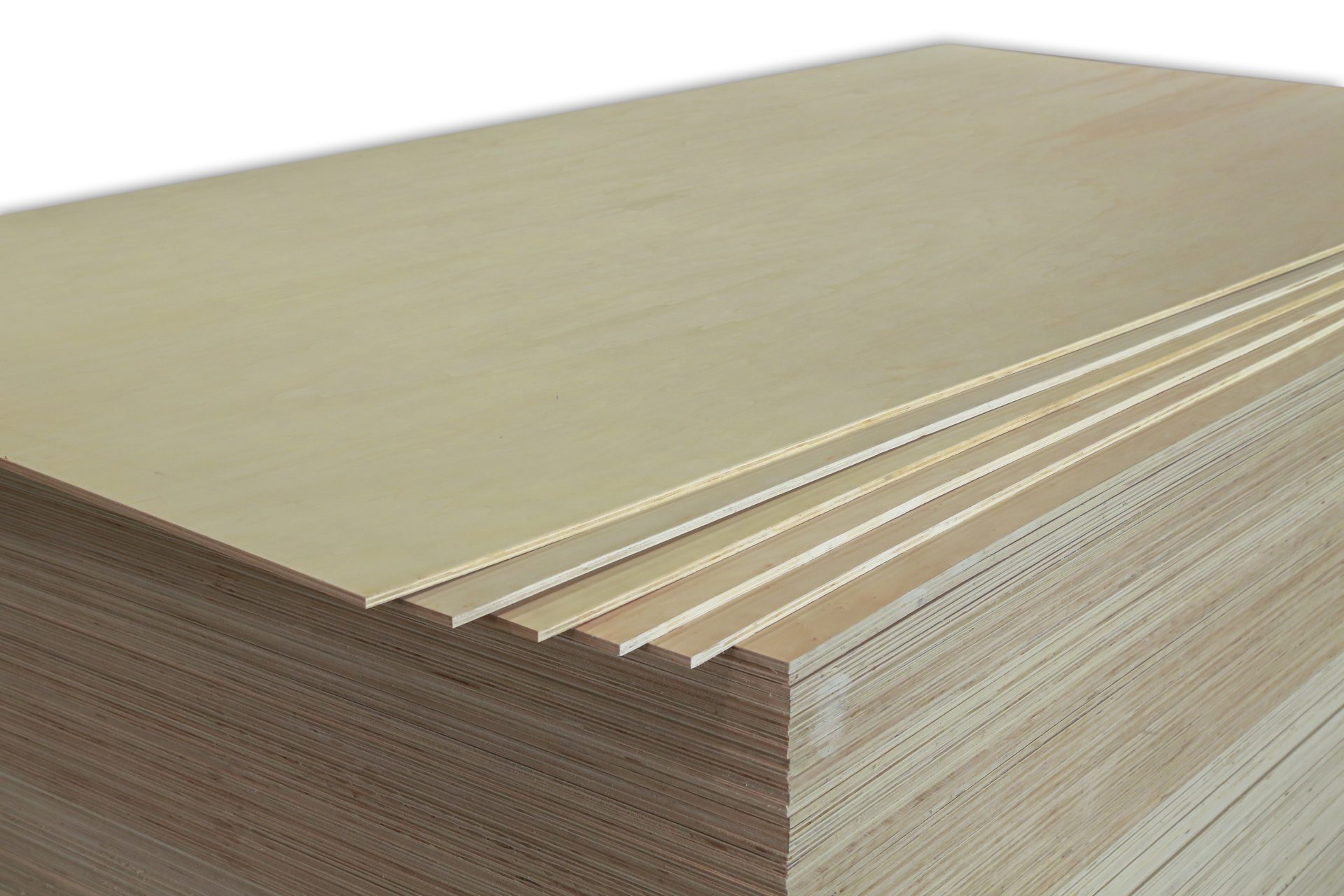 Poplar Plywood
