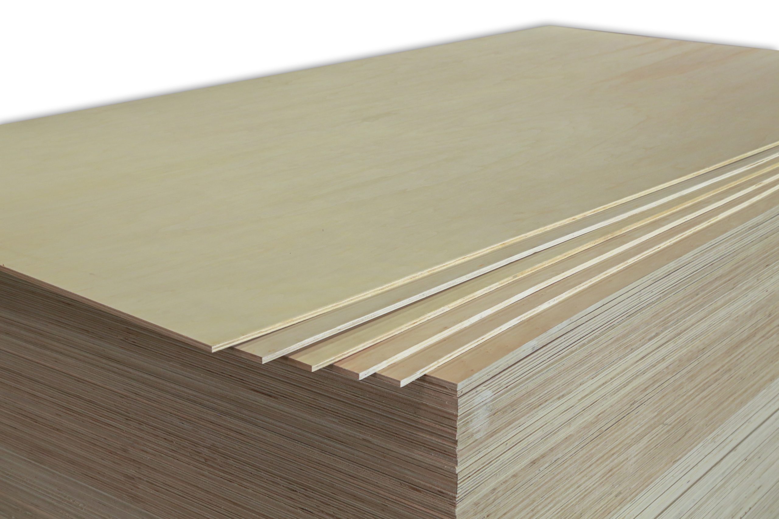 Poplar Plywood