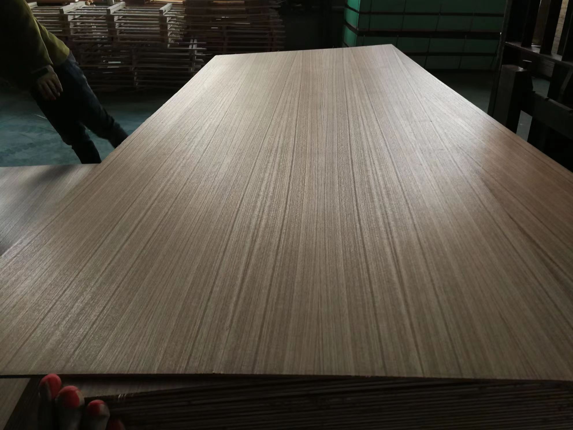 Teak Plywood