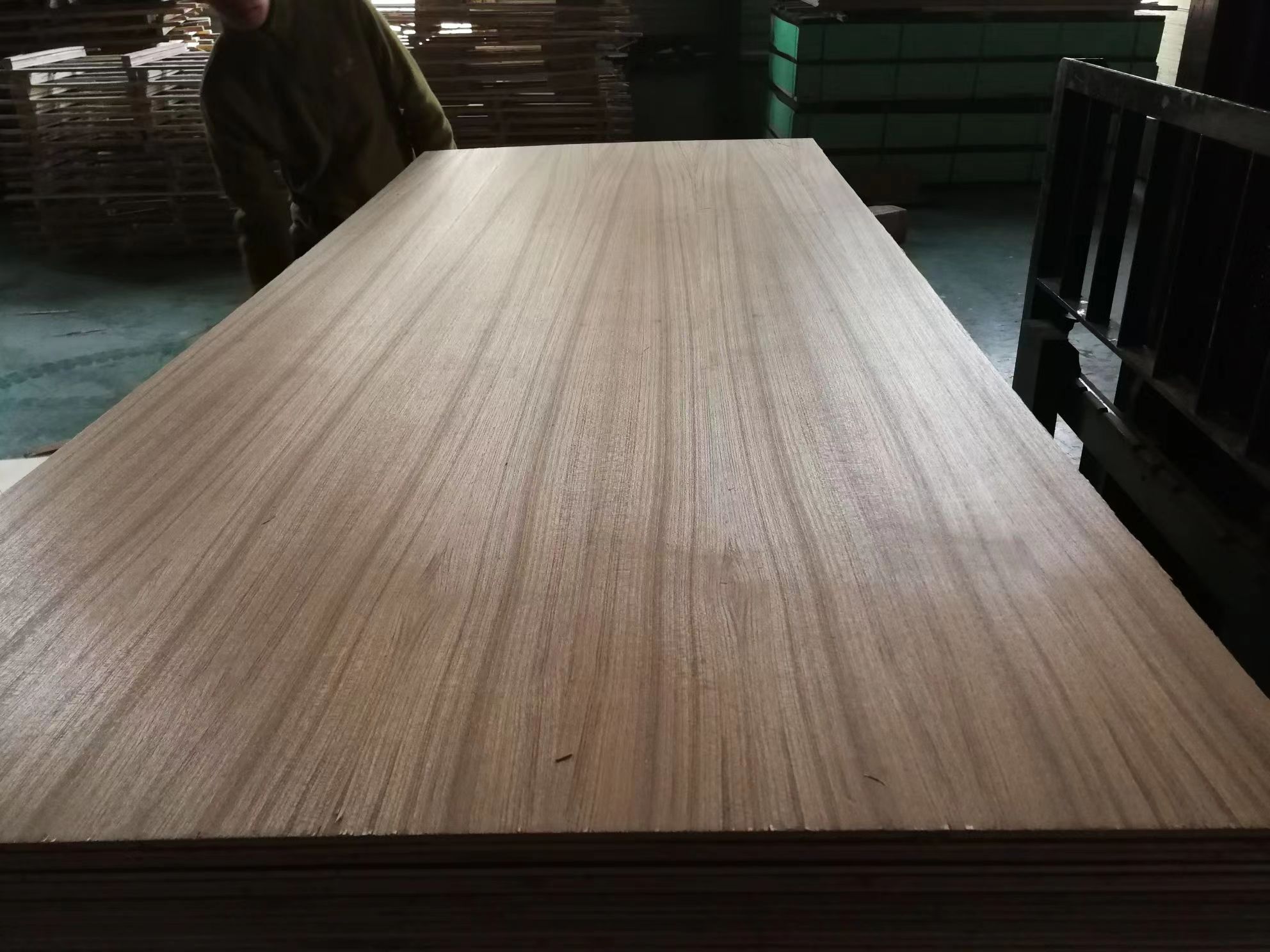 Teak Plywood
