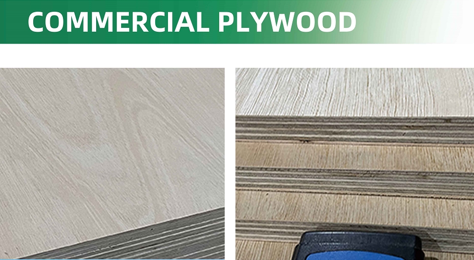 Commercial Plywood